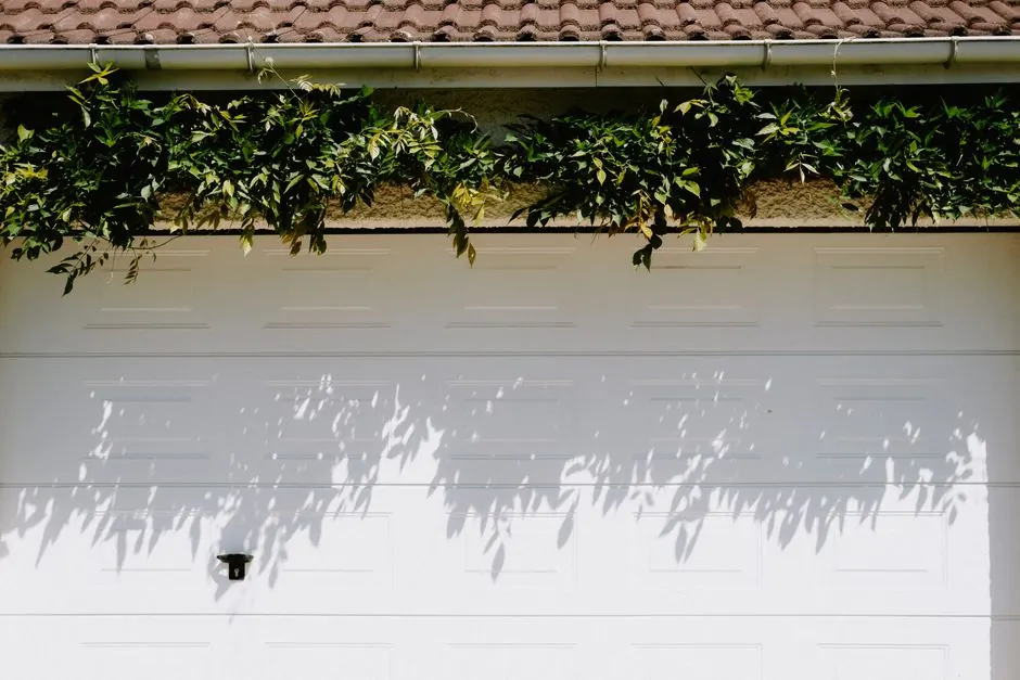 Gutter Cleaning