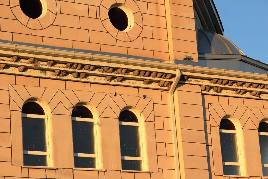 Gutter Cleaning