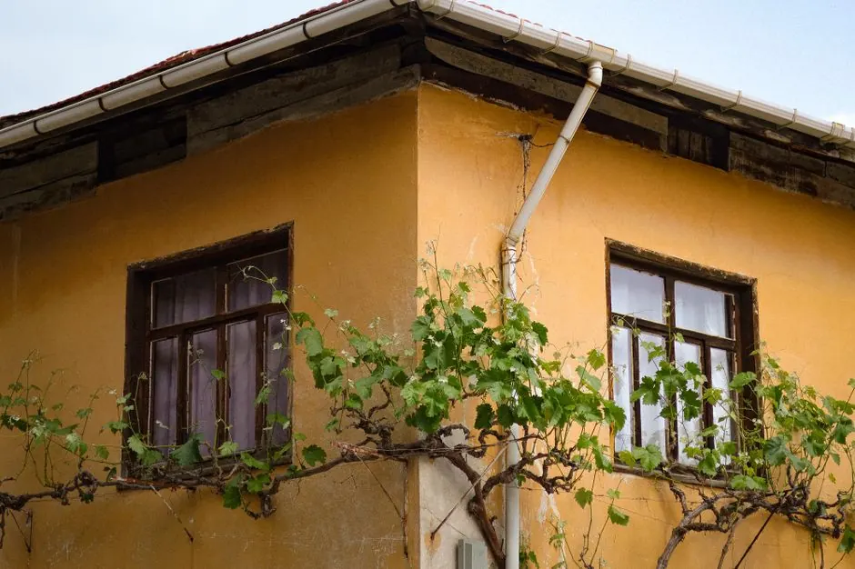 Gutter Replacement