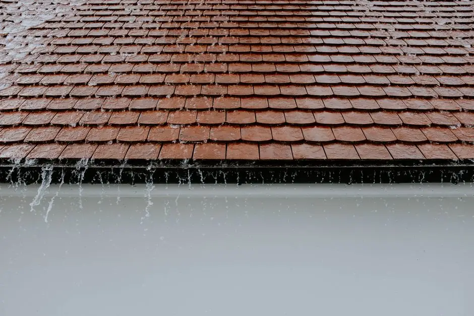 Gutter Repair