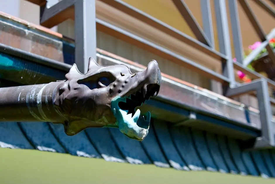 Gutter Inspection